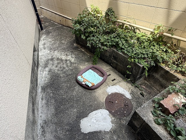 地面の濡れ確認状況