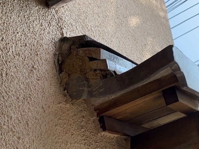 端部の劣化確認中